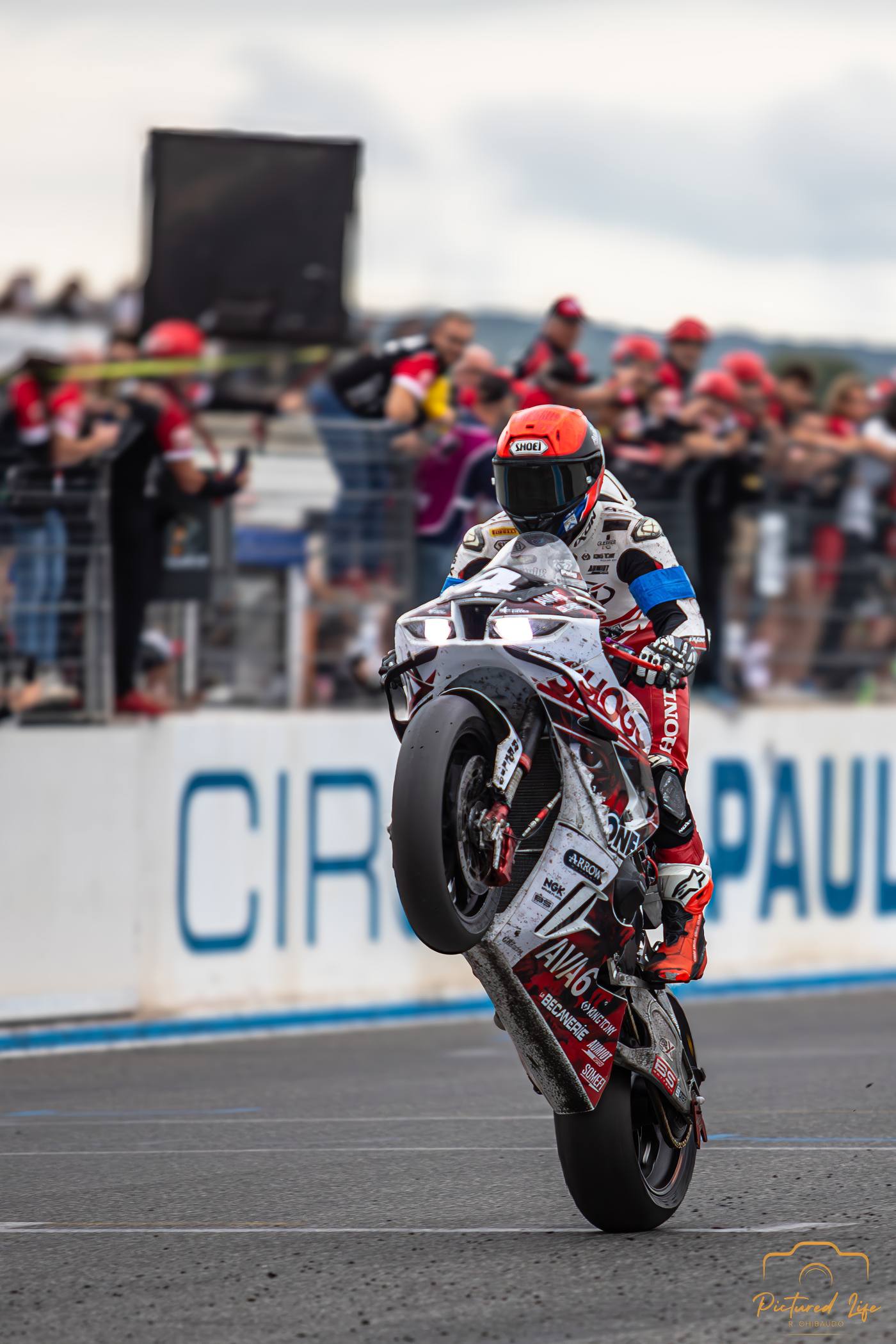 Pilote Honda célébrant avec wheelie devant les tribunes, Bol d'Or 2025