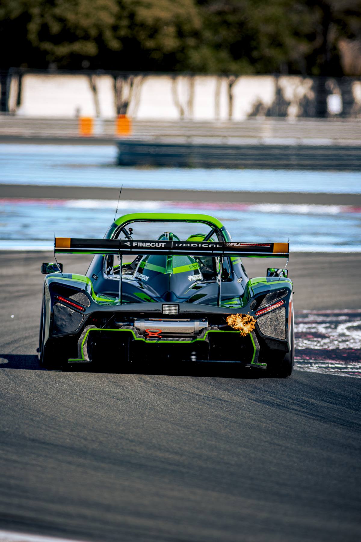 Radical vert foncé, plan de face sur le circuit