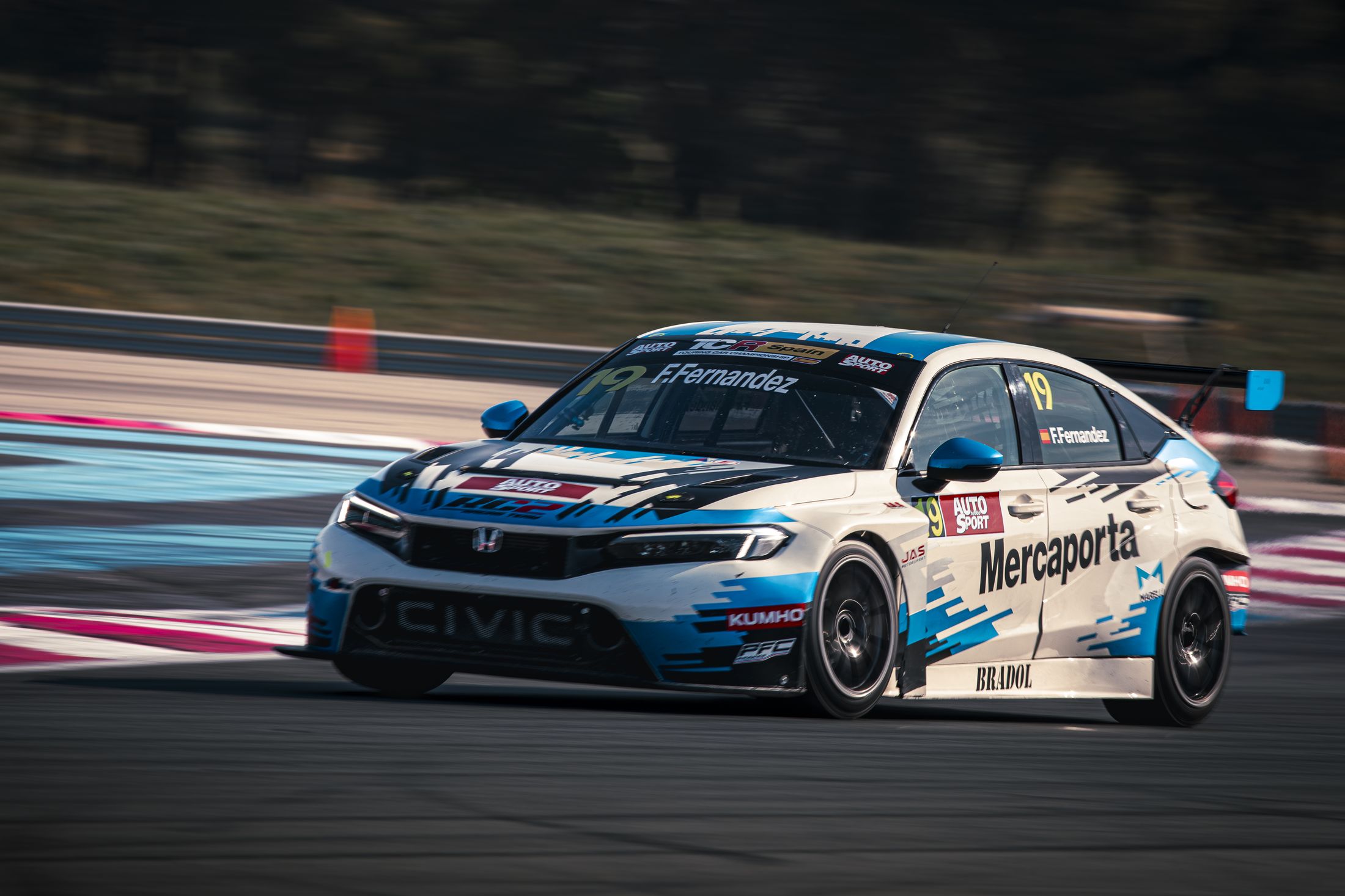 Honda Civic Type R TCR n°19, blanche et bleue, en filé