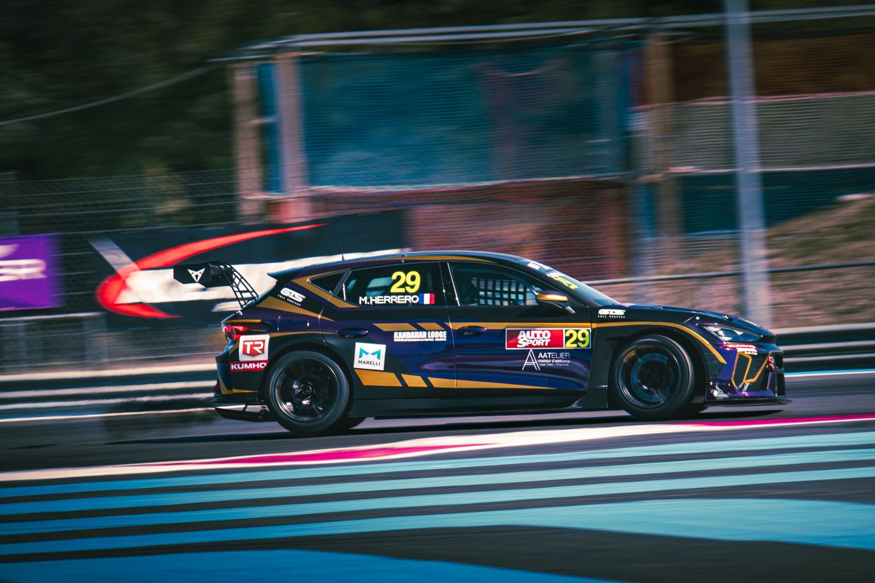 Honda Civic Type R TCR n°29 noire et or, en filé